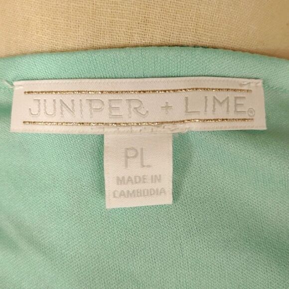 Juniper + Lime Green Tie Front Stretch Lined Tunic Top Size Large Petite LP - Picture 11 of 13